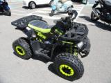 OTHERS-ANDERE OTHERS-ANDERE NCX ATV 125 HUNTER R 8 RACE