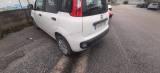 FIAT Panda 1.3 MJT S&S Easy Van 4 posti