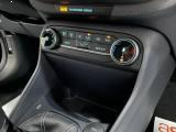 FORD Fiesta 1.0 EcoBoost Hybrid 125 CV 5 porte Titanium
