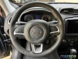JEEP Renegade 1.3 t4 150 CV Business 2WD DDCT