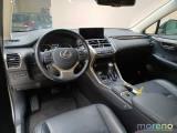 LEXUS NX 2.5 Luxury CVT 4WD