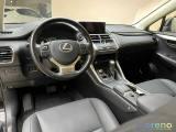 LEXUS NX 2.5 Premium CVT 4WD