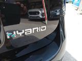 FIAT Panda 1.0 Hybrid - INCENTIVO - NO OBBLIGO FINANZIARIO