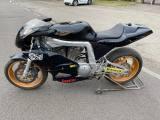 OTHERS-ANDERE OTHERS-ANDERE HARLEY DAVIDSON 883 BATTLE OF TWIN