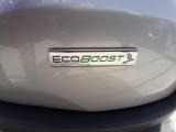 FORD EcoSport 1.0 EcoBoost 125 CV Titanium