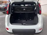 FIAT Panda 1.0 FireFly S&S Hybrid Sport+Touch 7