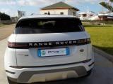 LAND ROVER Range Rover Evoque 2.0 TD4 150 CV 5p. Business Edition SE