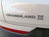 OPEL Grandland X 1.5 diesel Ecotec Start&Stop aut. Business  i.e 