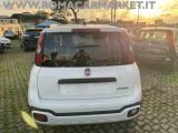 FIAT Panda Cross 1.0 FireFly S&S Hybrid NO VICOLI 5 POSTI CARPLAY