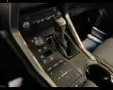 LEXUS NX 300h 2.5 4WD EXECUTIVE