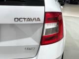 SKODA Octavia 1.6 TDI 115 CV Wagon 4x4 Executive