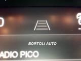 ALFA ROMEO Stelvio 2.2 TD 190cv 39.000 KM AT8 Q4 BUSINESS