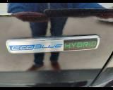 FORD Kuga 2.0 EcoBlue Hybrid 150 CV 2WD Titanium Business