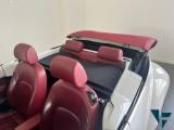 VOLKSWAGEN New Beetle 1.9 TDI 105CV Cabrio Limited Red Edition